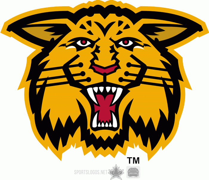 moncton wildcats 1998-2003 alternate logo iron on transfers for T-shirts